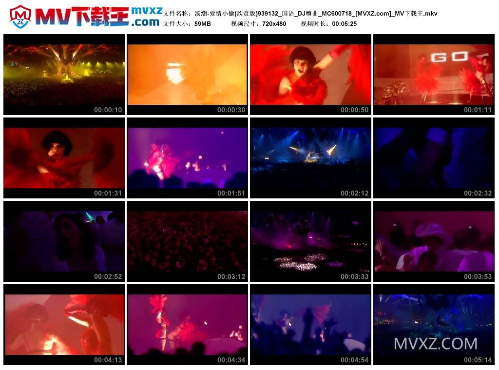 汤潮-爱情小偷(欣赏版)939132_国语_DJ嗨曲_MC600718